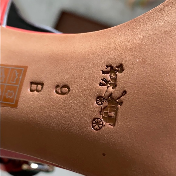 Coach Izzy - Picture 6 of 8